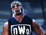 Hollywood Hulk Hogan