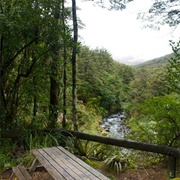 Whakapapa Holiday Park