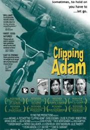 Clipping Adam