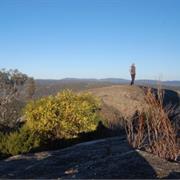 Chiltern Mount Pilot National Park (VIC)