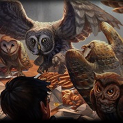 Hogwarts Owls