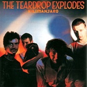 The Teardrop Explodes - Ha Ha I'm Drowning (1980)