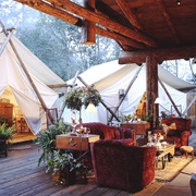 Stay at Clayoquot Wilderness Lodge (BC)