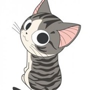 Chi the Cat