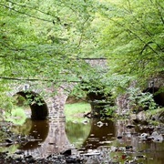 Bowman's Hill Wildlife Preserve, New Hope, Pennsylvania