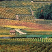 The Climats, Terroirs of Burgundy
