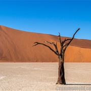 Marval at the Landscapes of Deadvlei, Namibia