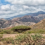 Goda Mountains, Djibouti
