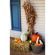 Decorating With Gourds, Cornstalks and Hay Bales