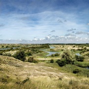 Amsterdamse Waterleidingduinen