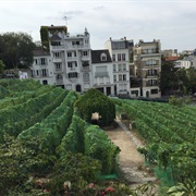 Clos De Montmartre