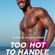 Too Hot to Handle: Season 1
