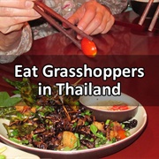 Eat Grasshoppers in Thailand