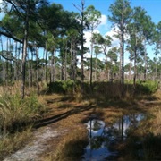 Jonathan Dickinson State Park, Florida