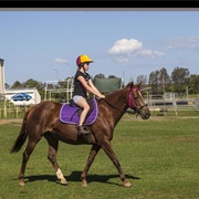 Have You Ever Ridden a Horse?