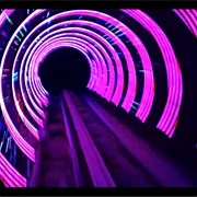 Madagascar Mad Pursuit