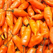 Ají Panca / Peruvian Red Pepper
