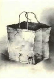 The Cat in a Shopping Bag (Alvin Schwartz)