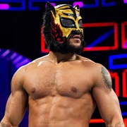 Lince Dorado