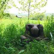 Rhoneymeade Arboretum & Sculpture Garden (Centre Hall)