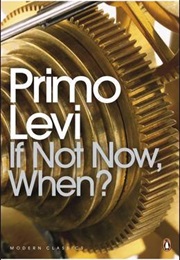 If Not Now, When? (Primo Levi)