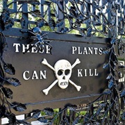 Akodessawa Voodoo Fetish Market, Lome, Togo