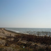 Sasyk Lagoon, Ukraine