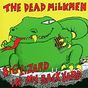 The Laundromat Song- Dead Milkmen