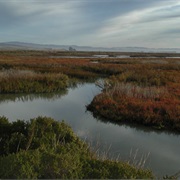 San Pablo Bay National Wildlife Refuge