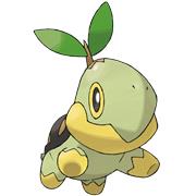 Turtwig