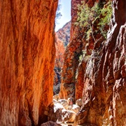 Standley Chasm, NT