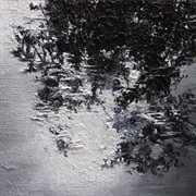 Silent Whale Becomes A° Dream - Canopy