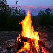 Have a Campfire in the Woods