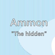 Ammon
