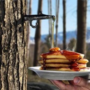 Quebec Produces More Than 70% of the World's Maple Syrup