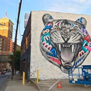 Paint a Wall Mural Painting