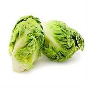 Tudela Lettuce Heart