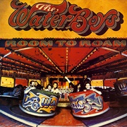 The Waterboys Room to Room