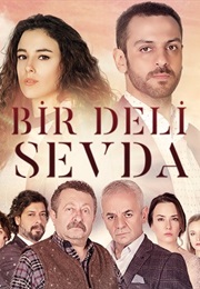 Bir Deli Sevda (2017)
