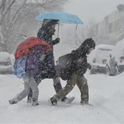 Walk to School Through Snow