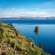 Lake Titicaca - Bolivia/Peru