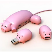 Pig USB Port