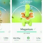 Shiny Meganium