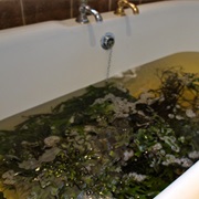 Voya Seaweed Baths in Strandhill, Co. Sligo