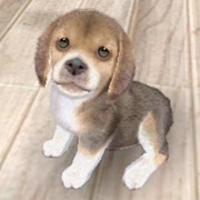 Nintendogs