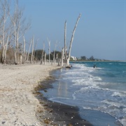 Stump Pass Beach State Park, Florida