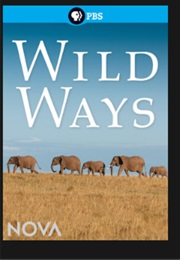 Wild Ways (2016)