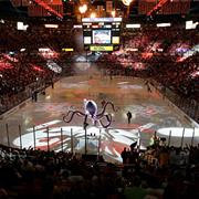 Joe Louis Arena (Hockey Arena, the Red Wings), Detroit