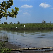 Featherstone National Wildlife Refuge