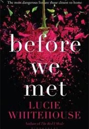 Before We Met (Lucie Whitehouse)